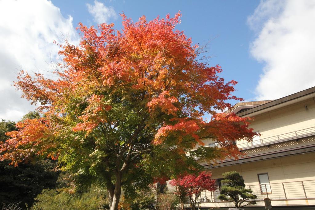 Okunoin Hotel Tokugawa Nikko Esterno foto
